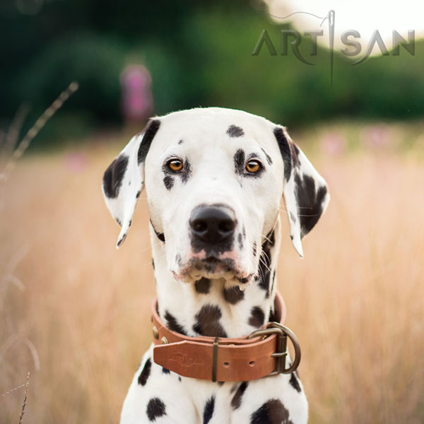 Amstaff easy wearing dog collar of exceptional quality genuine leather