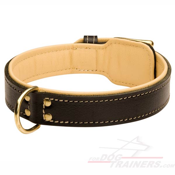 Comfortable Leather Dog Collar with Fur Protection Plate