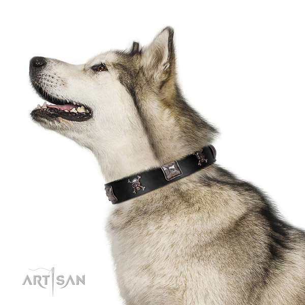 Soft Leather Malamute Collar for Daily Use