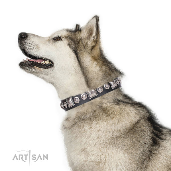 Malamute adorned genuine leather dog collar with decorations