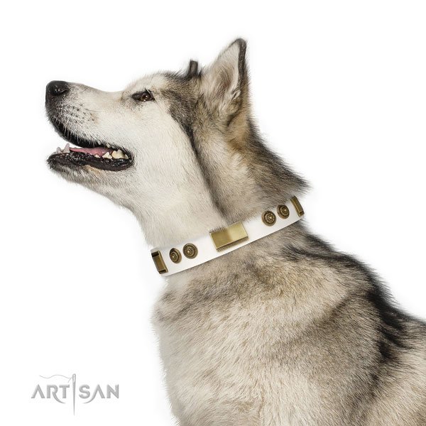 Malamute fancy walking dog collar of flexible leather