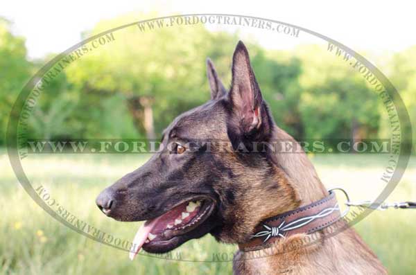 Malinois handcrafted leather collar