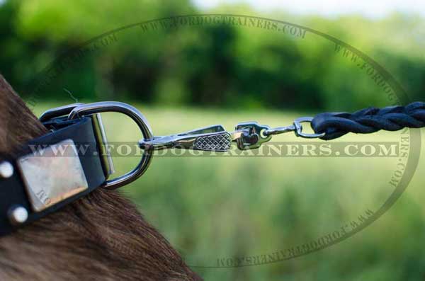 Reliable leather collar with buckle and D-ring for Malinois