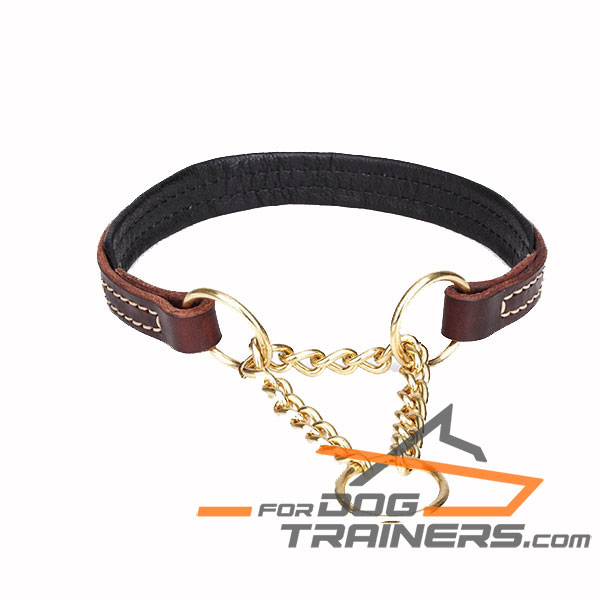 Sturdy martingale brown leather dog collar