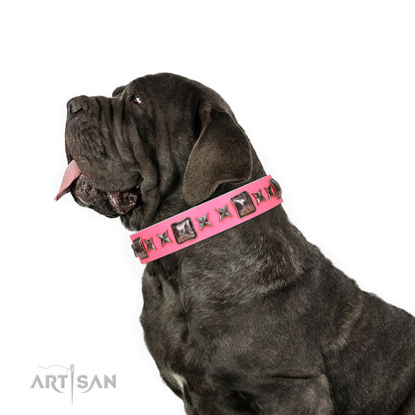 Mastino Neapoletano trendy natural genuine leather dog collar with adornments