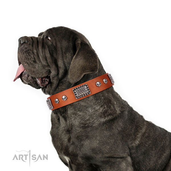 Mastino Neapoletano basic training dog collar of fashionable natural leather