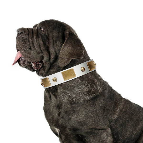 Strong  Mastino Neopolitano Collar with Riveted Rust-proof Hardware