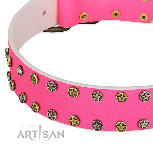 Set of stars handset in 2 rows on FDT Artisan dog collar