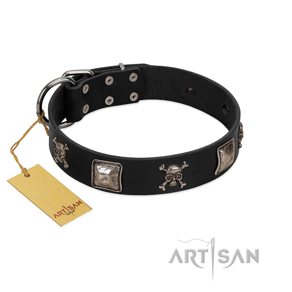 Trendy Dog Collar Adorned with Plates and Crossbones
