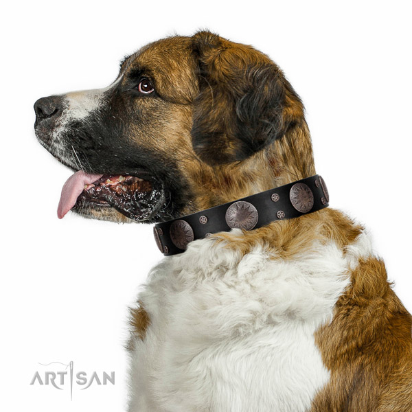 Walking top-notch quality walking leather Moscow Watchdog collar