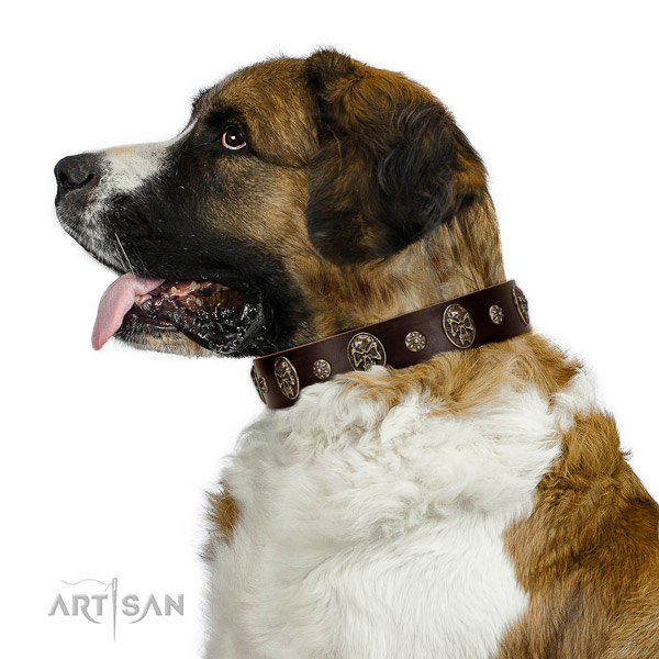 Premium quality Moscow Watchdog Artisan leather collar for stylish walking