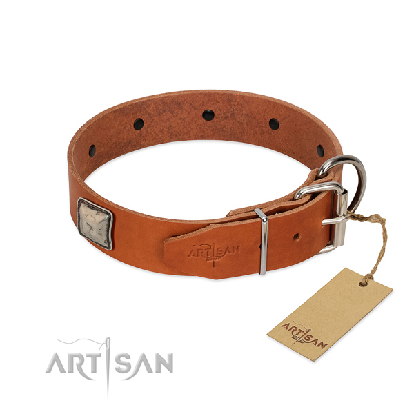 Fabulous FDT Artisan leather dog collar