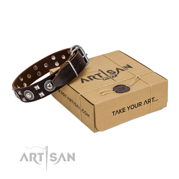 FDT Artisan leather dog collar for your best dog