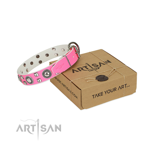 FDT Artisan leather dog collar for your best dog