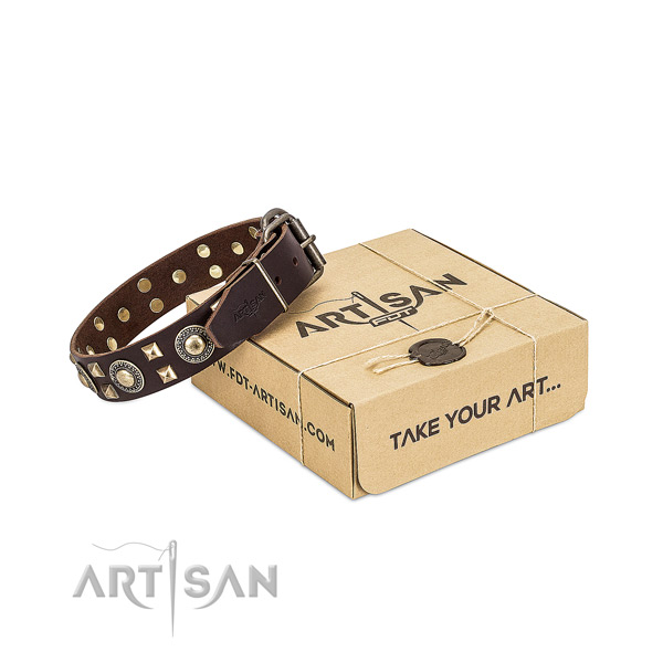 FDT Artisan leather dog collar for your best dog