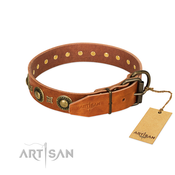 Fabulous FDT Artisan leather dog collar