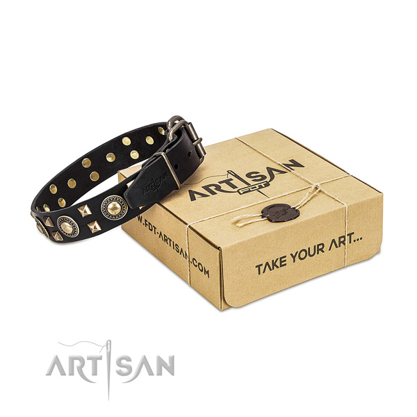 FDT Artisan leather dog collar for your best dog