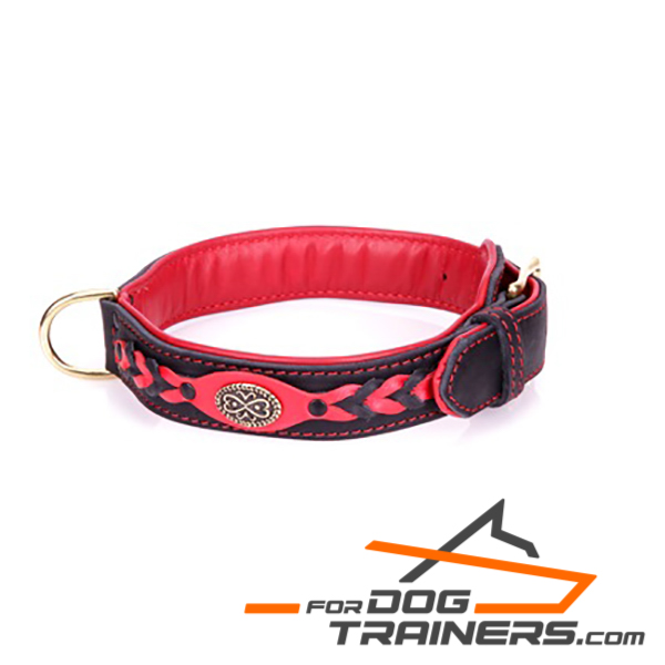 FDT Artisan leather dog collar for walks