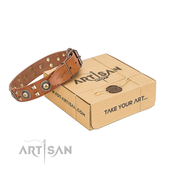 FDT Artisan leather dog collar for your best dog