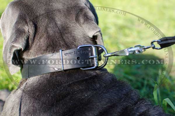 D-Ring on Leather Dog Collar