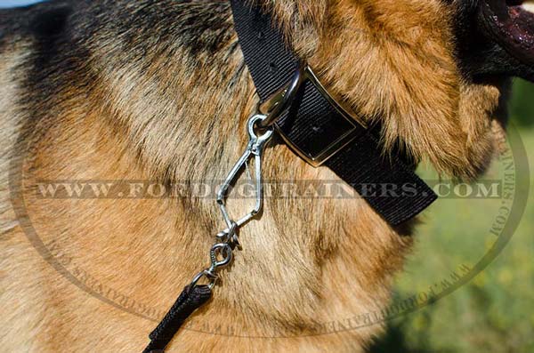 Nickel Plated D-Ring of Nylon Dog Collar