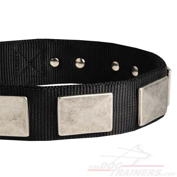 Massive Nickel Plates on Nylon Pitbull Collar