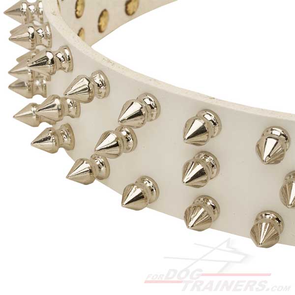 Spikes on White Leather Dog Collar