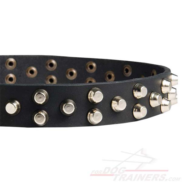 Rustproof Nickel Pyramids on leather dog collar