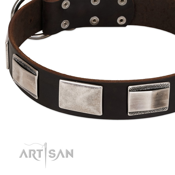 Modern leather dog collar with cool decorations