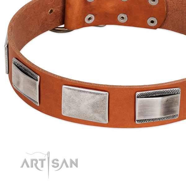 Modern leather dog collar with cool decorations