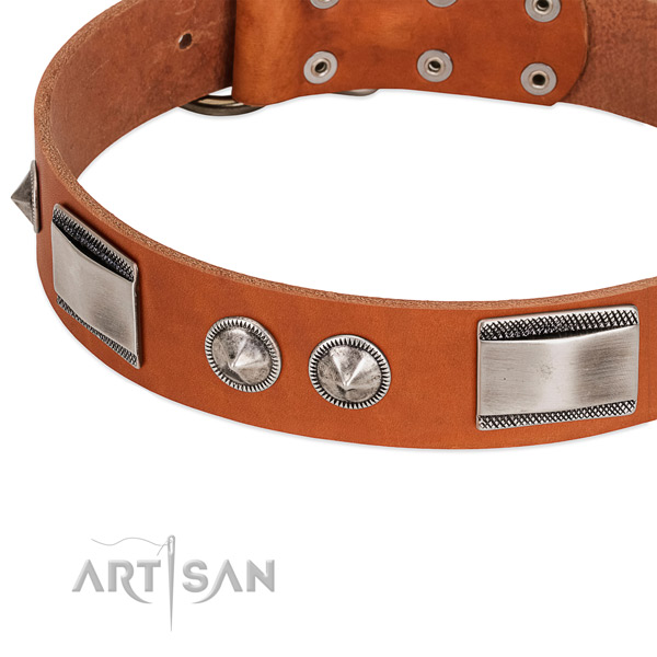 Modern leather dog collar with cool decorations