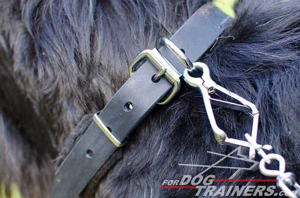 Strong Leather Dog Collar with Nickel Plated D-ring