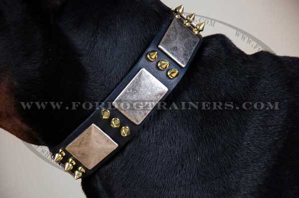 Collar with spikes and plates