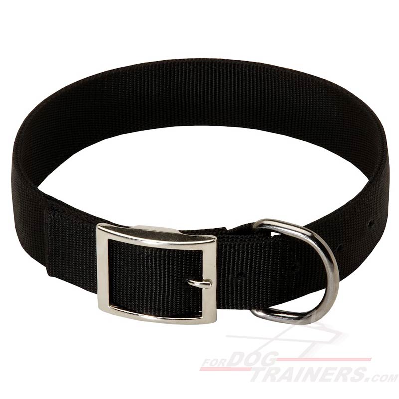 Buy Nylon Dog Collar for Any Weather | Walking | Training