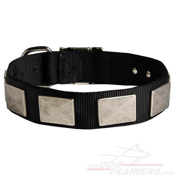 Reliable Nylon Dog Collar with Massive Plates