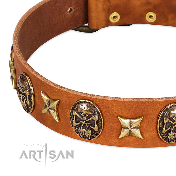 Old bronze-like stars and skulls on tan leather FDT Artisan collar