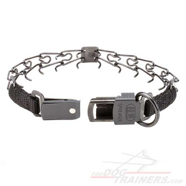 Dog pinch collar with D-ring for leash attachment