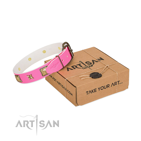 Stylish Dog Collar Adorned with Plates and Stars