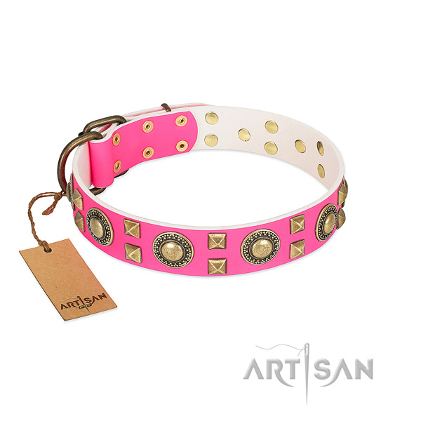 Reliable FDT Artisan leather dog collar