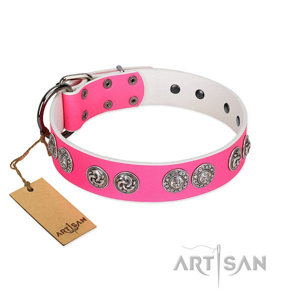 Long-lasting pink leather dog collar with riveted medallions