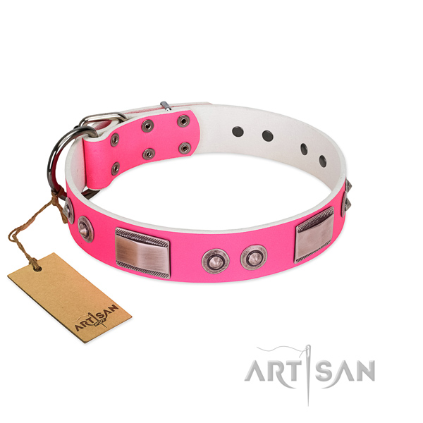 Pink dog collar for comfortable daily walks