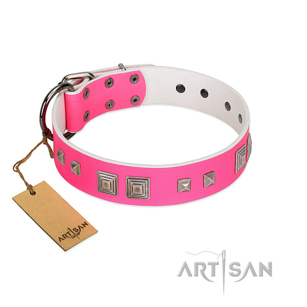 Stylish FDT Artisan leather dog collar