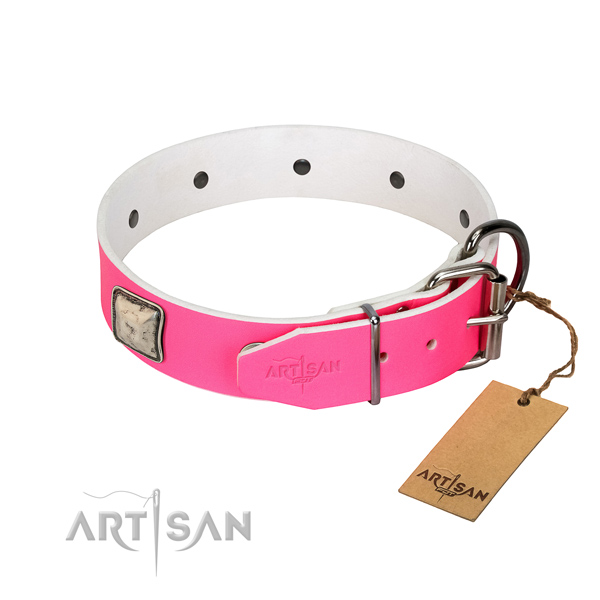 Studded leather dog collar with silver-like plated fittings