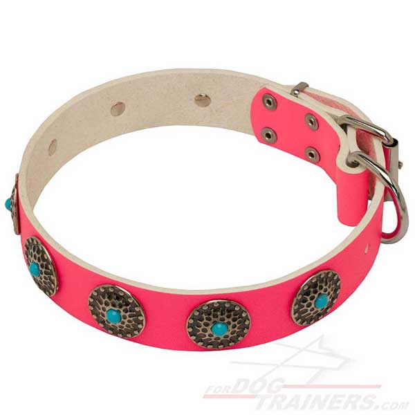 Stylish Pink Collar for Daily Dog Walking