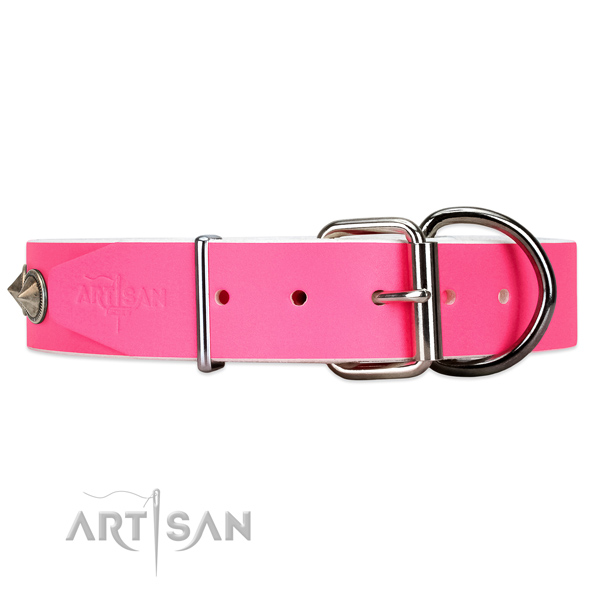 Studded leather dog collar with super reliable buckle