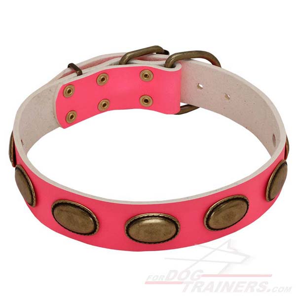 Leather Collar with Brass Oval Plates