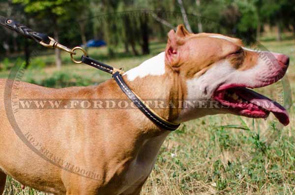 Leather Choke Pitbull Collar Obedience Training