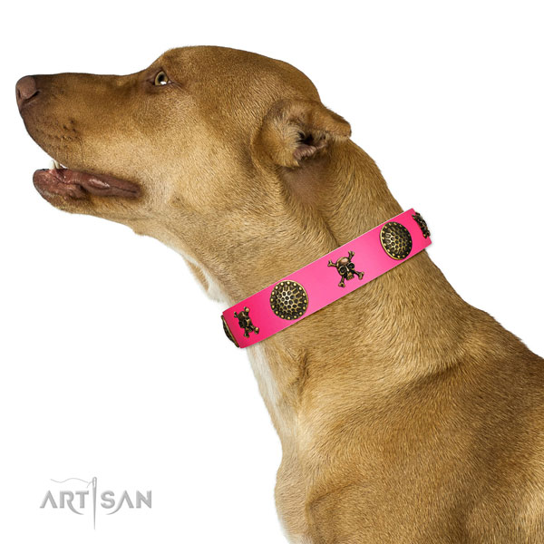 Extraordinary walking pink leather Pitbull collar with chic decorations