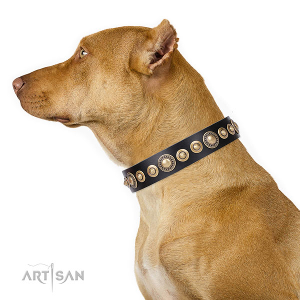 Pitbull stylish design leather dog collar with decorations