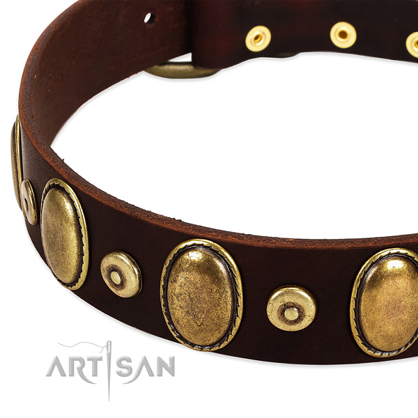 Rust-proof Old Bronze-like Plated Fittings on Brown Leather Dog Collar